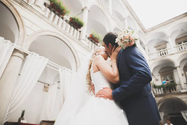 Coppia perfetta sposa, sposo posa e baci nel loro giorno del matrimonio — Foto Stock