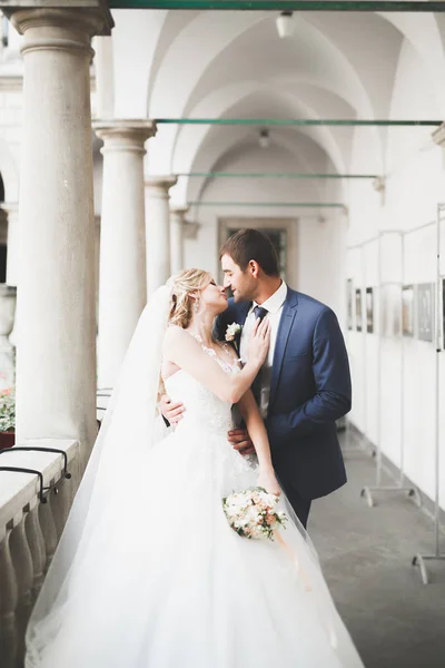 Coppia perfetta sposa, sposo posa e baci nel loro giorno del matrimonio — Foto Stock