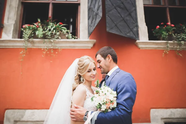 Pareja perfecta novia, novio posando y besándose en el día de su boda — Foto de Stock