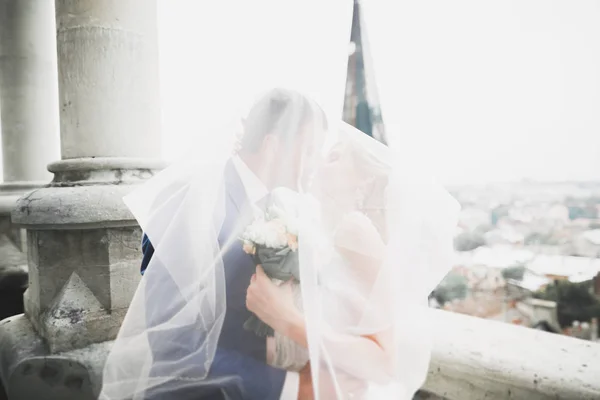 完璧なカップル花嫁,新郎ポージングとキスで彼らの結婚式の日 — ストック写真