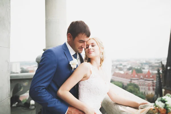 Kissing wedding couple staying over beautiful landscape — Stock Photo, Image