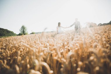 Güzel düğün çift, gelin ve damat buğday alan mavi gökyüzü ile poz