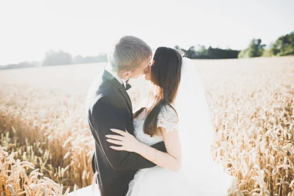 Casal de casamento bonito, noiva e noivo posando no campo de trigo com céu azul — Fotografia de Stock