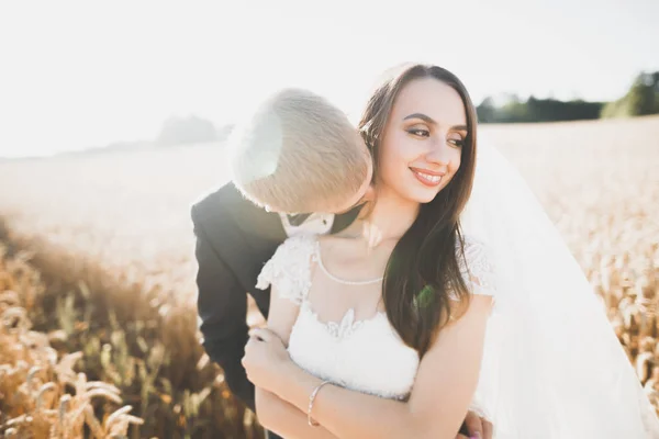 Hermosa pareja de boda, novia y novio posando en el campo de trigo con cielo azul — Foto de Stock