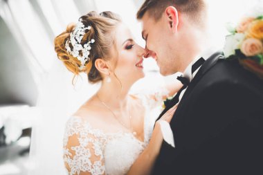 Genç bir çiftin şehvetli portresi. Açık hava.