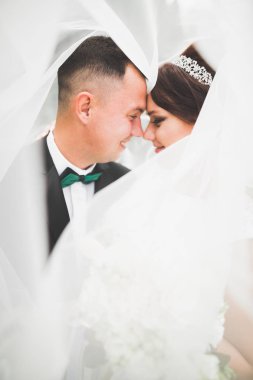 Mükemmel bir çift gelin ve damat düğün günlerinde poz verip öpüşürler.