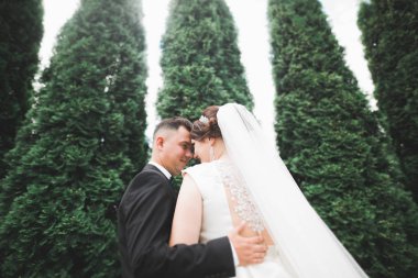 Gelin ve damat el ele tutuşuyor.