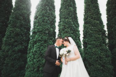 Botanik parkında yürüyen mutlu bir çift.