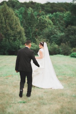 Mükemmel bir çift gelin ve damat düğün günlerinde poz verip öpüşürler.