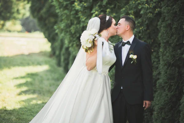 Pareja feliz boda caminando en un parque botánico — Foto de Stock