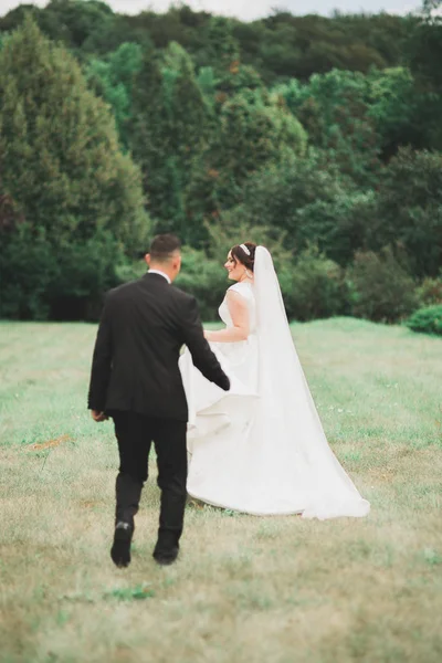 Pareja perfecta novia, novio posando y besándose en el día de su boda — Foto de Stock