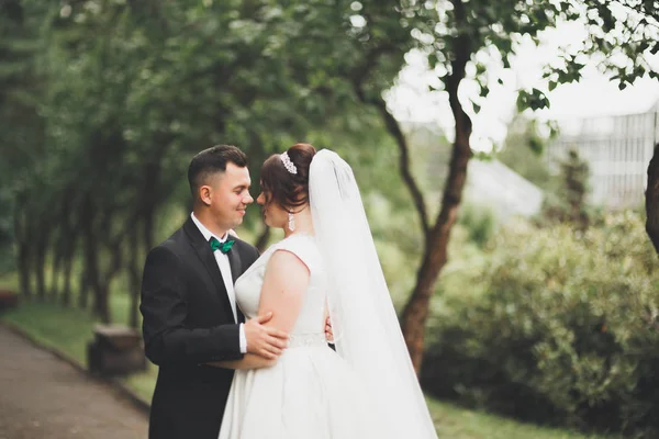 Matrimonio coppia sposa e sposo tenendosi per mano — Foto Stock