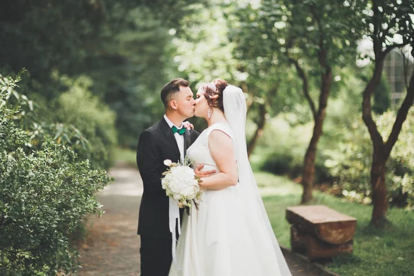 Coppia perfetta sposa, sposo posa e baci nel loro giorno del matrimonio — Foto Stock