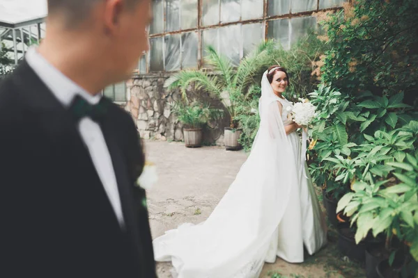 Joyeux couple de mariage marchant dans un parc botanique — Photo