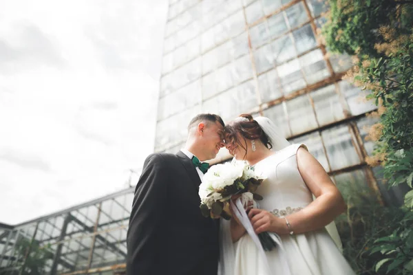 Coppia perfetta sposa, sposo posa e baci nel loro giorno del matrimonio — Foto Stock