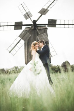 Güzel bir düğün çifti, gelin ve damat gün batımında sahada poz veriyorlar.