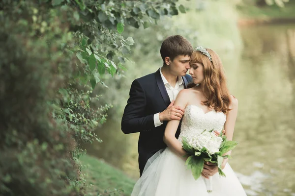 Mooi romantisch huwelijk paar van pasgetrouwden knuffelen in park op zonsondergang — Stockfoto