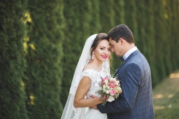 Mükemmel bir çift gelin ve damat düğün günlerinde poz verip öpüşürler. — Stok fotoğraf