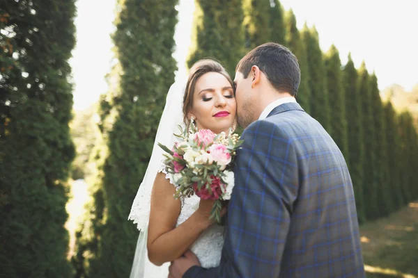 Perfektes Paar Braut, Bräutigam posiert und küsst sich am Hochzeitstag — Stockfoto