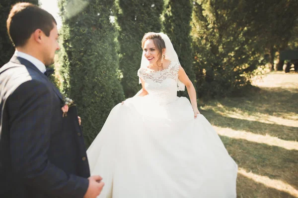 Pareja perfecta novia, novio posando y besándose en el día de su boda — Foto de Stock