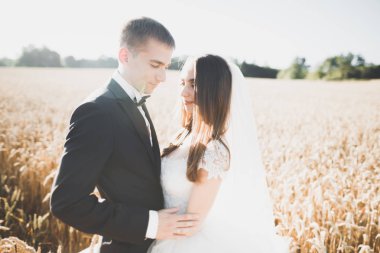 Duygusal güzel gelin, yeni evli damada yakın planda sarılıyor.