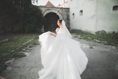 Muhteşem romantik zarif stil güzel beyaz gelin arka planda antik barok kalesinde