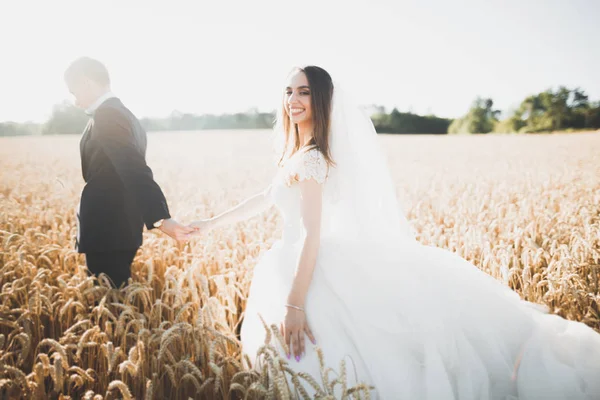 Känslomässig vacker brud kramas nygift brudgum på ett fält närbild — Stockfoto