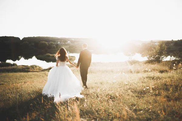 Gyönyörű romantikus esküvő pár friss házasok ölelkeznek a parkban naplementekor — Stock Fotó