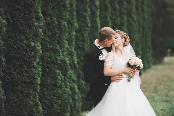 Beau jeune couple de mariage s'embrasse et sourit dans le parc — Photo