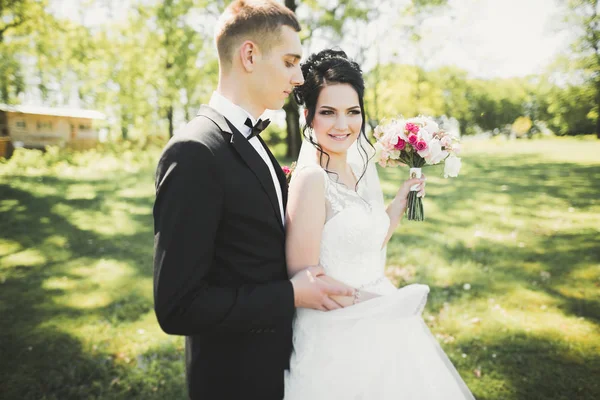 Romantic, fairytale, happy newlywed couple hugging and kissing in a park, trees in background — Stock Photo, Image