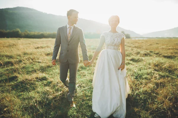 Schönes Hochzeitspaar, Liebe im Sonnenuntergang. Feld mit Blick auf die Berge — Stockfoto