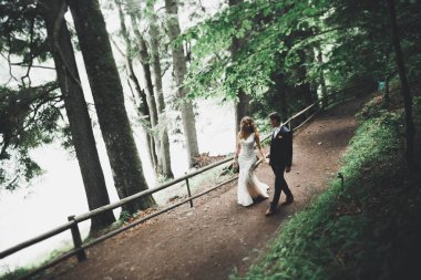 Botanik parkında yürüyen mutlu bir çift.