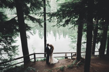 Yeni evli çift el ele tutuşurken parkta koşup zıplıyorlar.