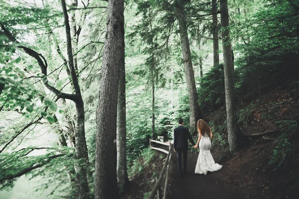 Κομψή κομψό ευτυχισμένη νύφη μελαχρινή και πανέμορφο γαμπρός στο φόντο ένα πανέμορφο ποτάμι στα βουνά — Φωτογραφία Αρχείου