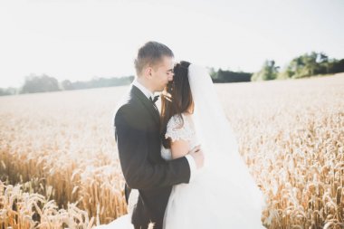 Güzel çift genç gelin ve damat günbatımı arka plan üzerinde. Güzel gökyüzü