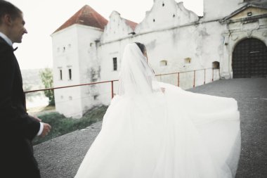 Güzel bir peri masalı yeni evli çift eski ortaçağ şatosunun yakınlarında sarılıyor.