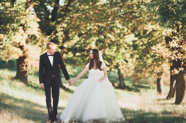 Güzel romantik bir çift yeni evliler gün batımında parkta sarılıyorlar.