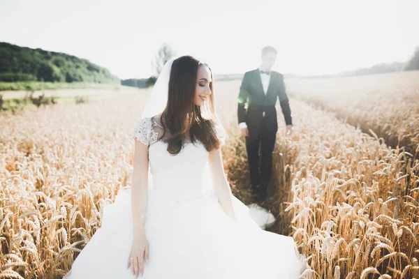 Casal de casamento posando no pôr do sol no dia do casamento. Noiva e noivo apaixonados — Fotografia de Stock