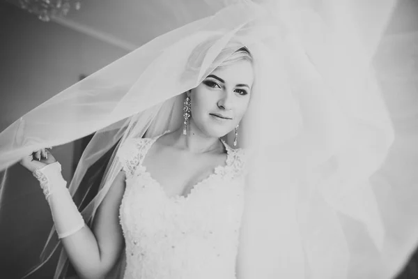 Hermosa novia con vestido de novia de moda con plumas con maquillaje de lujo deleite y peinado, estudio sesión de fotos interior —  Fotos de Stock