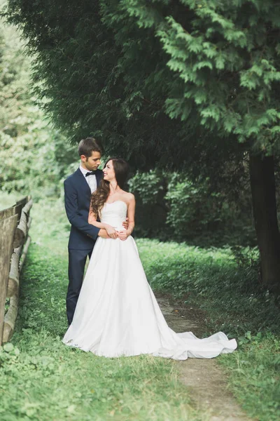 Casal elegante de recém-casados felizes posando no parque em seu dia do casamento — Fotografia de Stock