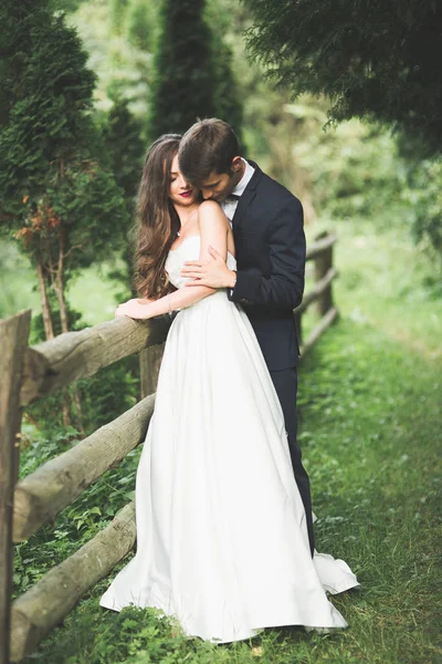Hermosa pareja posando en el parque. Luna de miel recién casada en el amor cogida de la mano —  Fotos de Stock