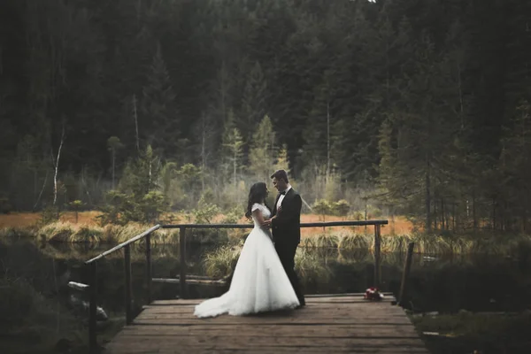 Coppia perfetta sposa, sposo posa e baci nel loro giorno del matrimonio — Foto Stock