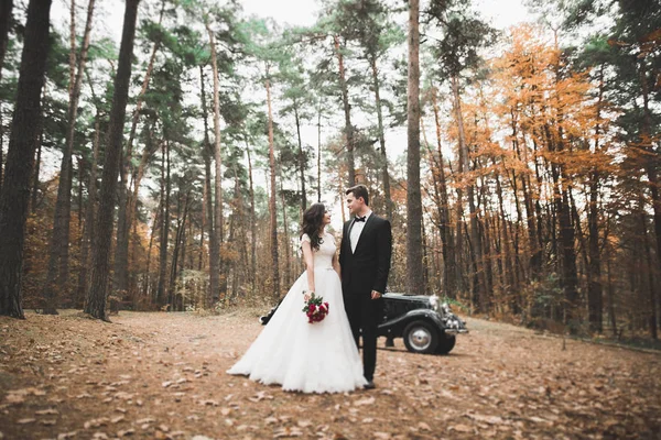 素敵なレトロな車に近いポーズ美しい結婚式のカップル — ストック写真