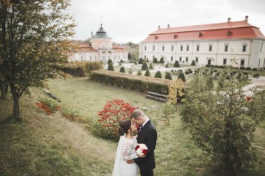 İnanılmaz mutlu nazik stil güzel romantik beyaz çift arka planda antik barok kalesinde