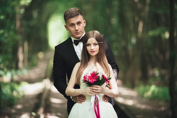 Lujo elegante joven novia y novio en el fondo primavera soleado verde bosque — Foto de Stock