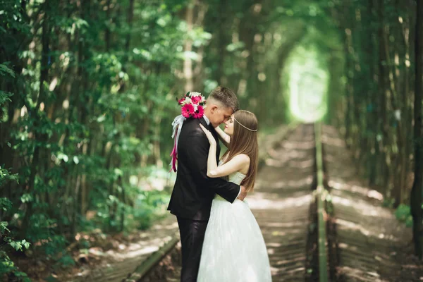 Happy wedding couple charming groom and perfect bride posing in park — Stok Foto