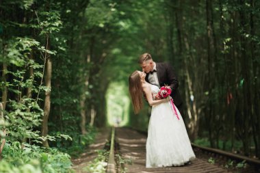 Çam ağacı ormanda öpüşme romantik yeni evli çift