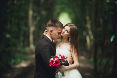 lüks şık genç gelin ve damat üzerinde arka plan bahar güneşli yeşil orman