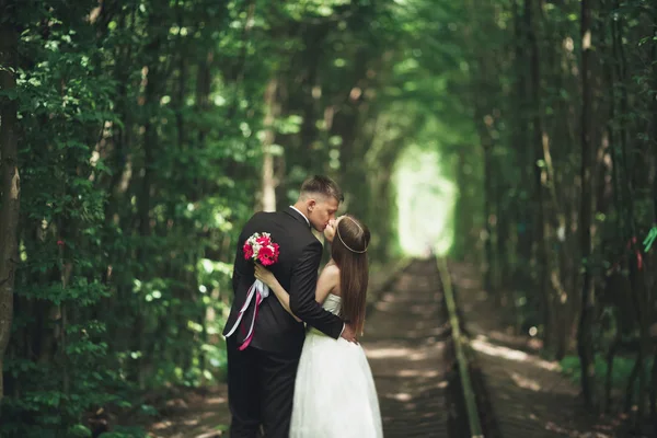 Bella, coppia perfetta in posa il giorno del loro matrimonio — Foto Stock