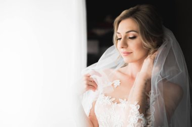 Gelinin güzel portresi moda gelinliği içinde tüylü, lüks makyaj ve saç stili.